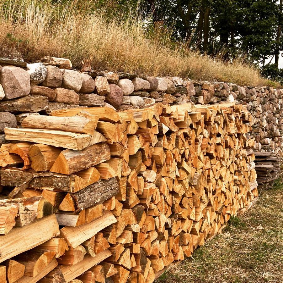 Camera De Le Rondole, Maso Postel - 500 Mt Strada Sterrata Перджине Валсугана Екстериор снимка
