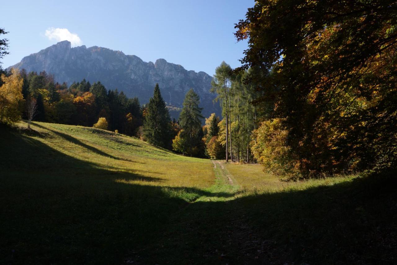 Camera De Le Rondole, Maso Postel - 500 Mt Strada Sterrata Перджине Валсугана Екстериор снимка